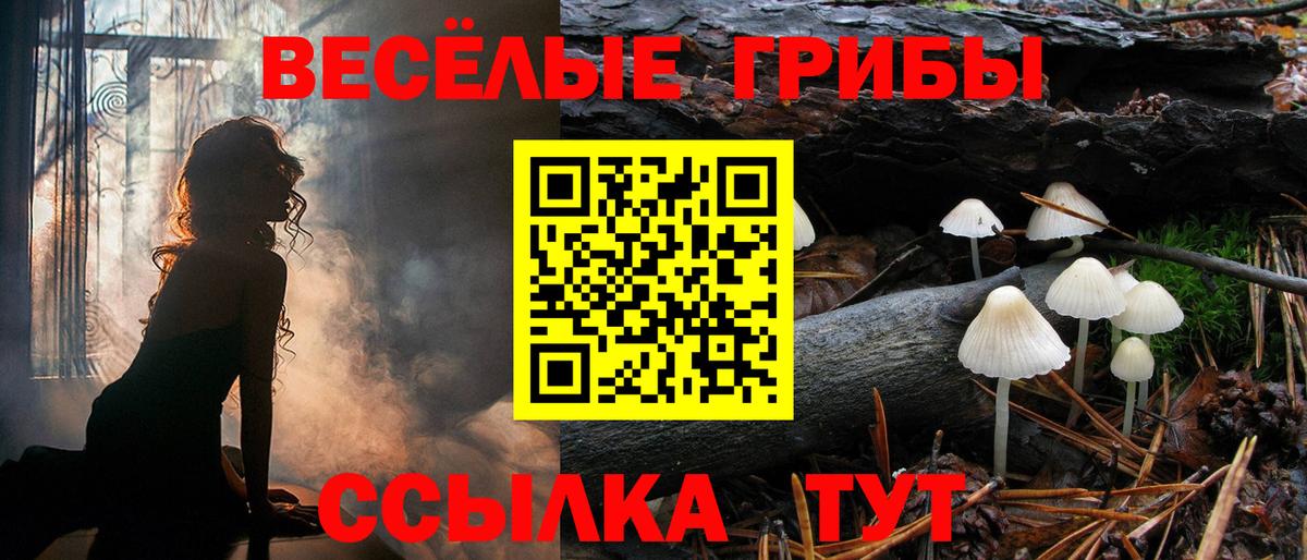 Псилоцибиновые грибы Cubensis Ялта